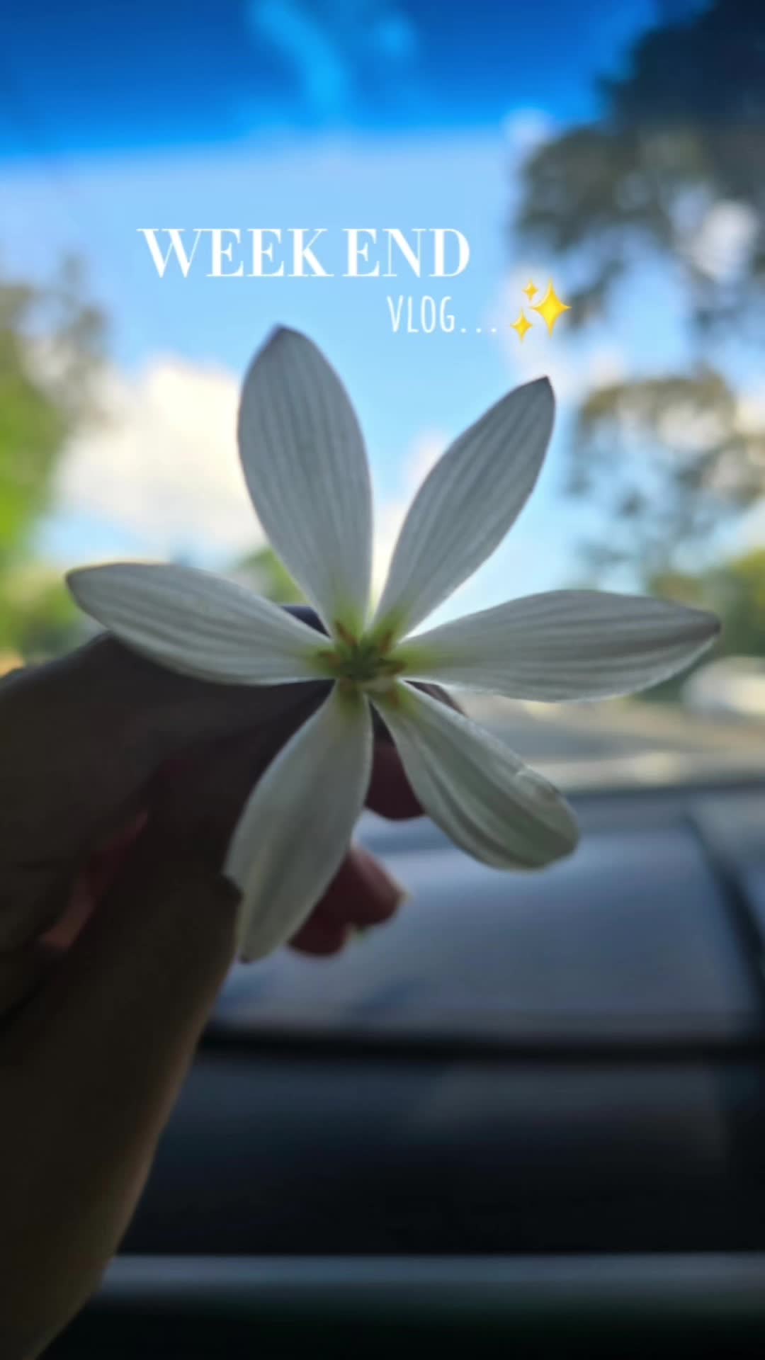 @theseekerdiaries