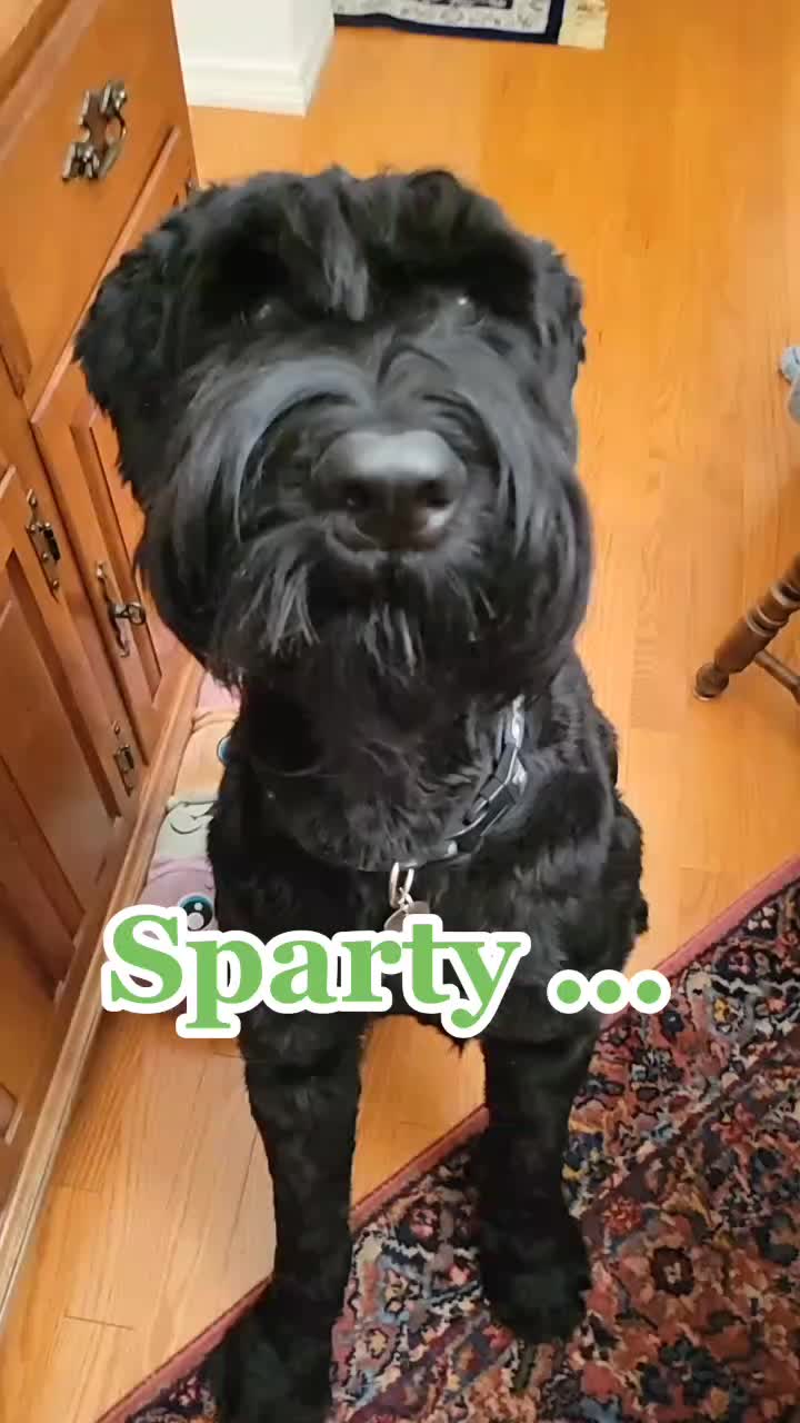 @FurMomLizz