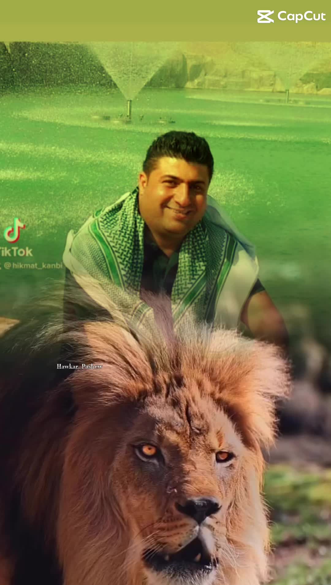 @Hikmat Kanabi
