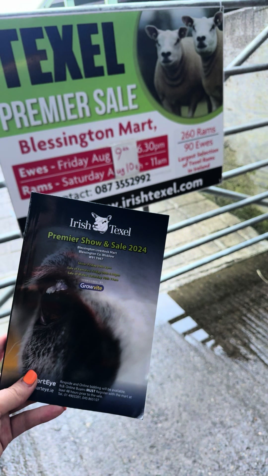 @Blessington_mart