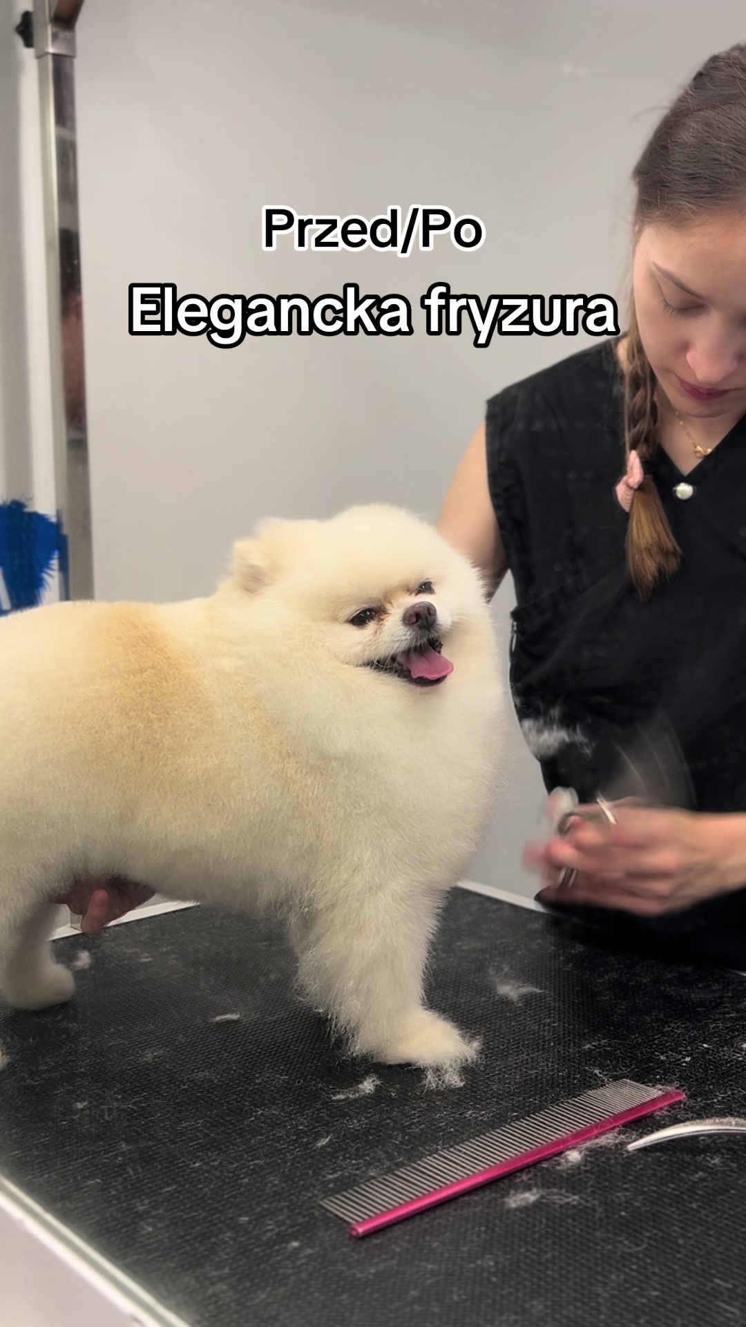 @PetStylist_Teti