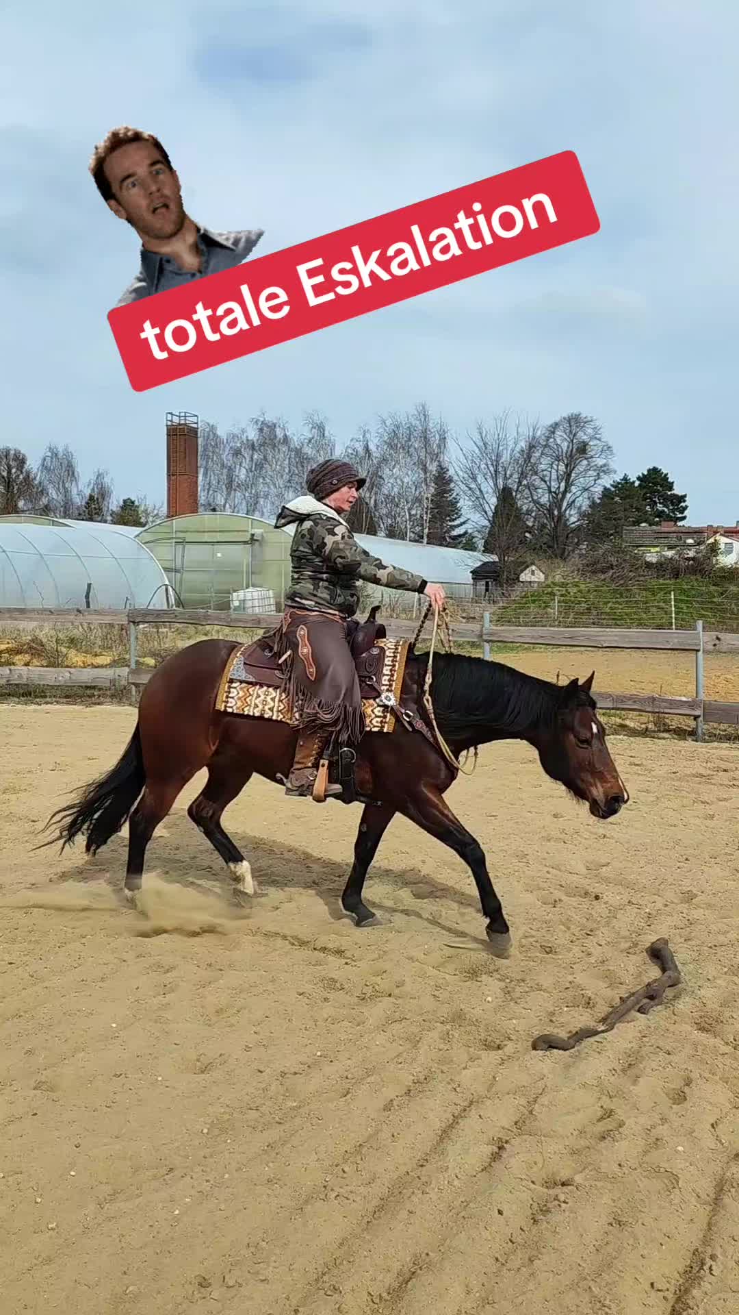 @Sandra Breitenstein