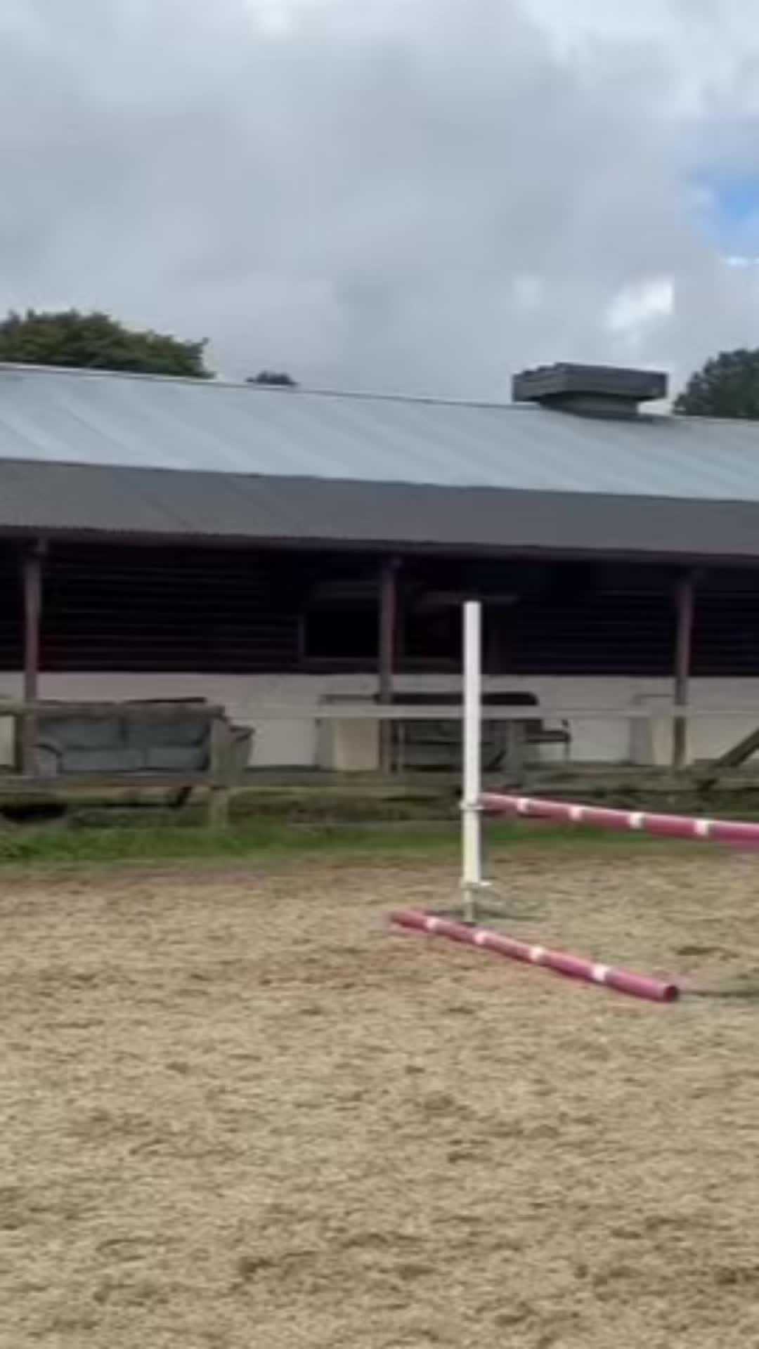 @Ruby🐴