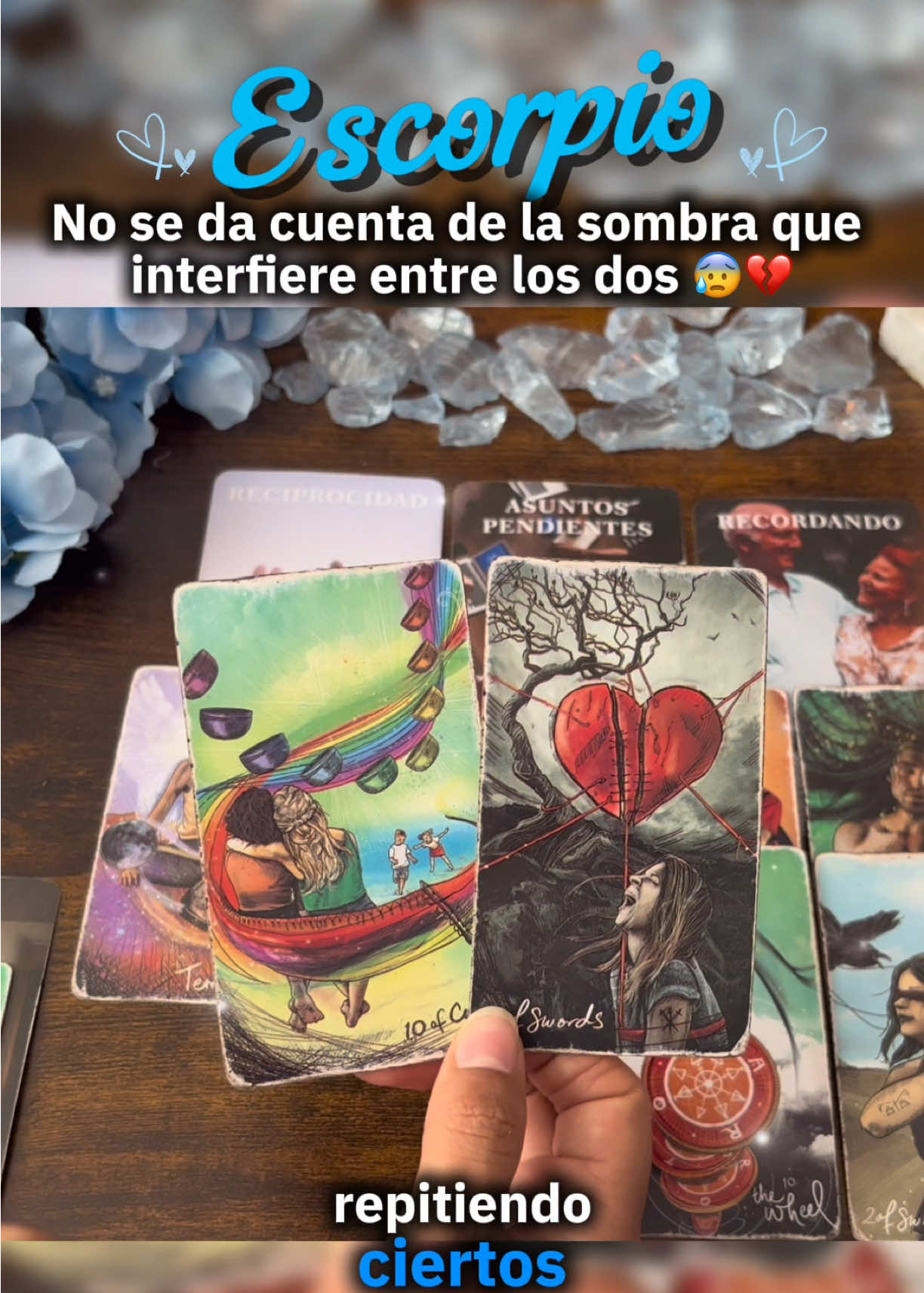 @Andy Sun Tarot ☀️