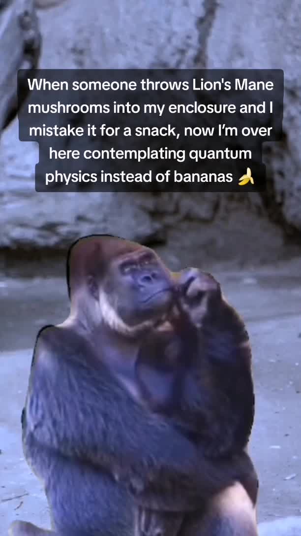 @WellnessMemes❤️🩹