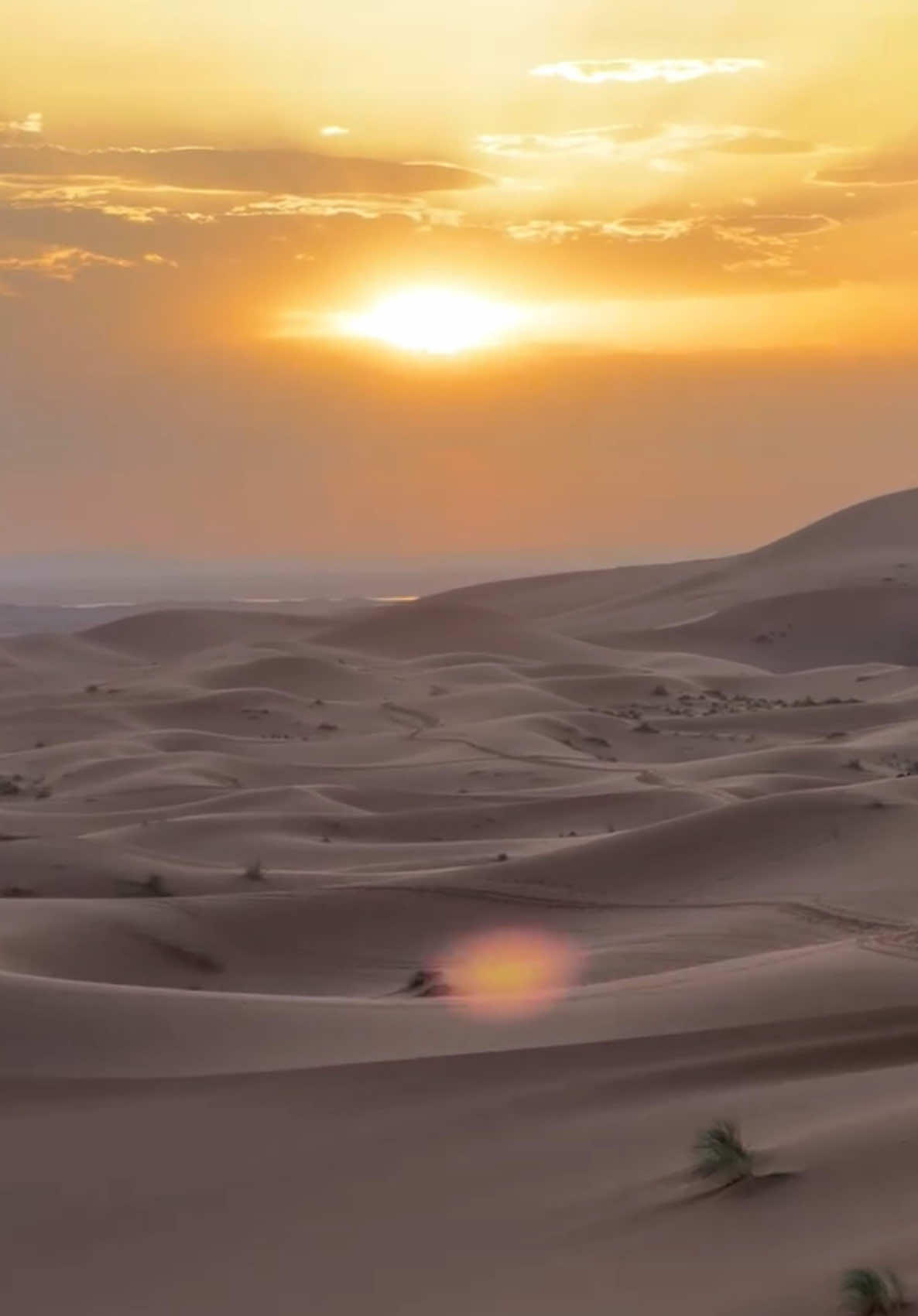 @Merzouga Globe 🌎
