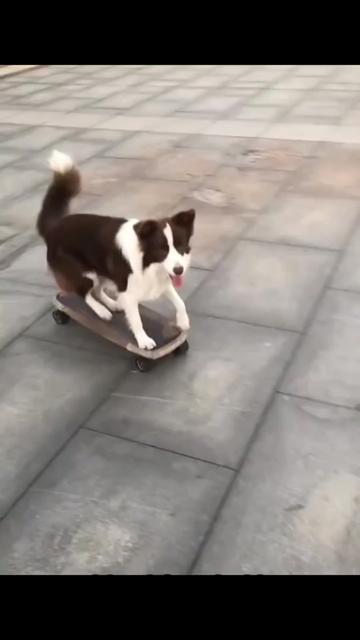 @@ไข่ตุ๋น