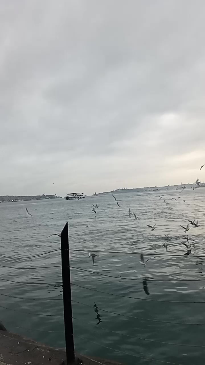 @Alican Dalgıç