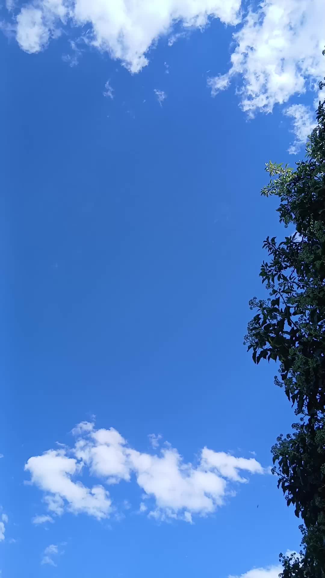 @1
