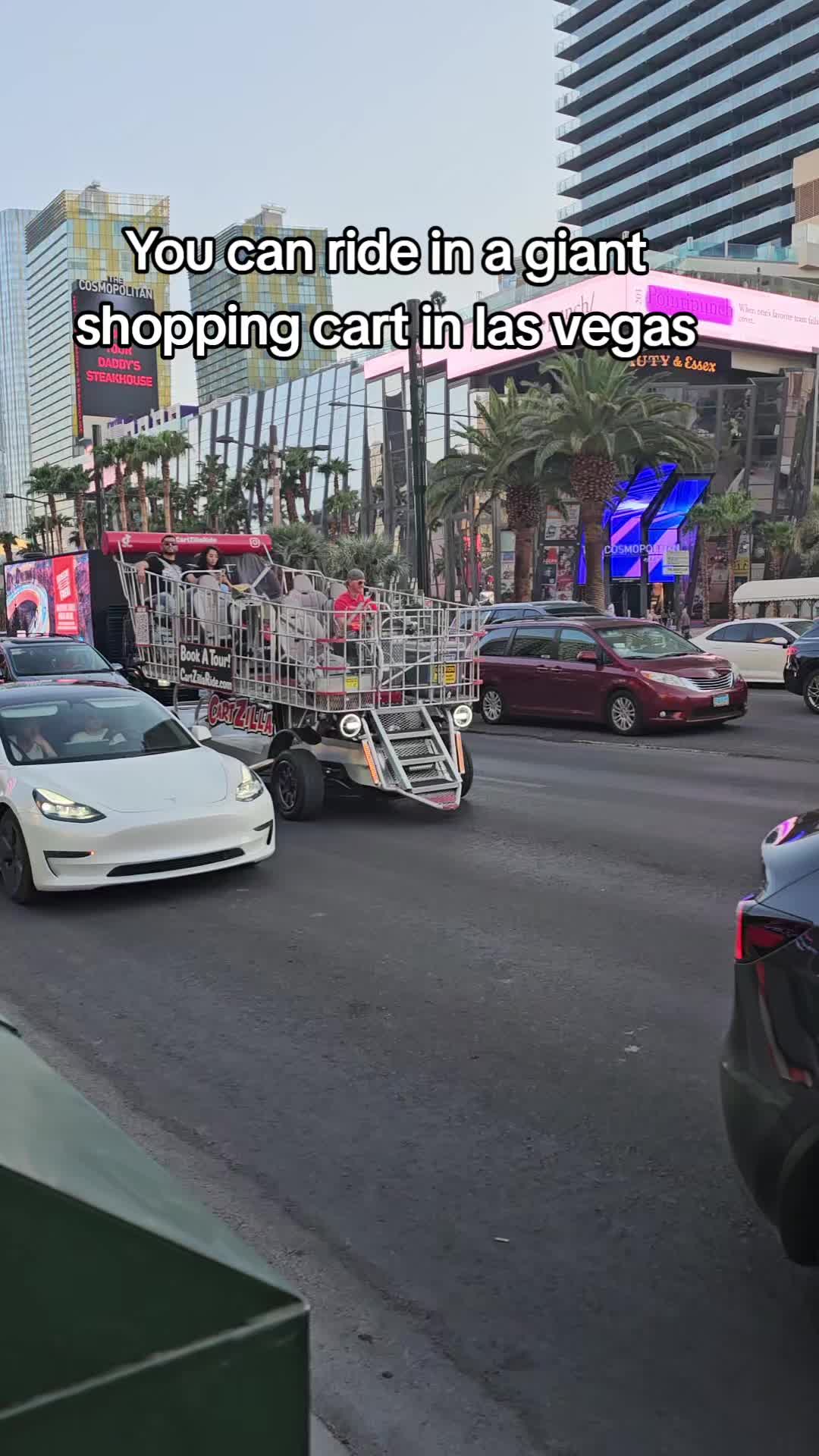 @Dominicinvegas