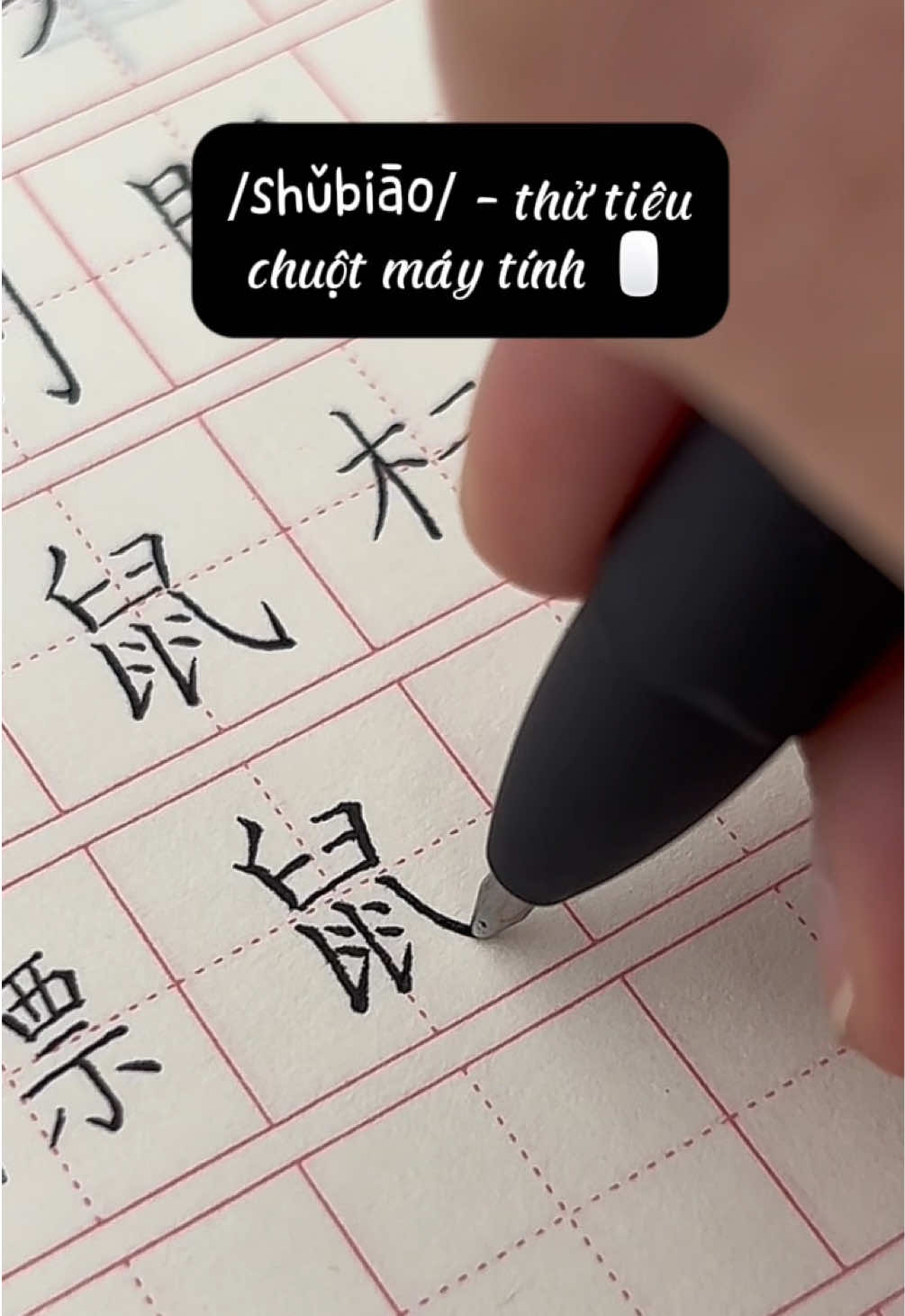 @🌷Mộc Mộc🌱木木丽红
