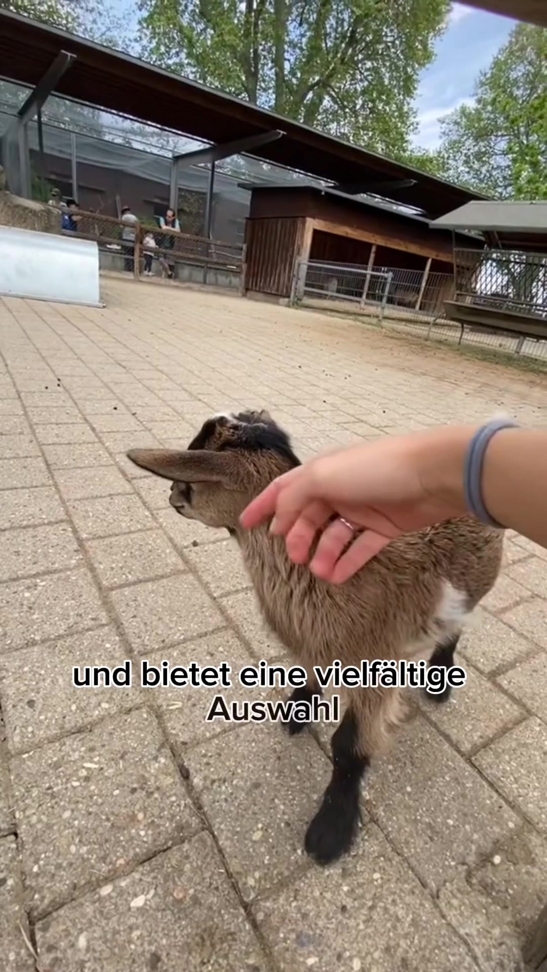 @DieBestenDerStadt