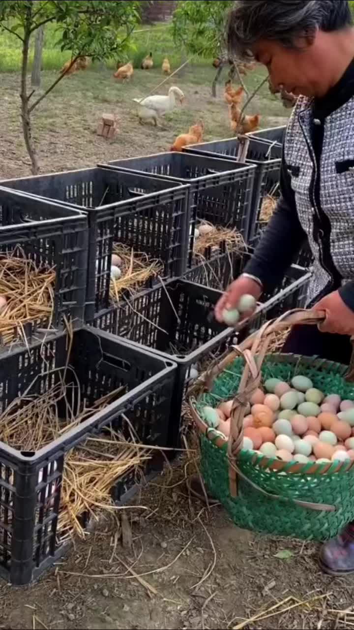 @rural.life97