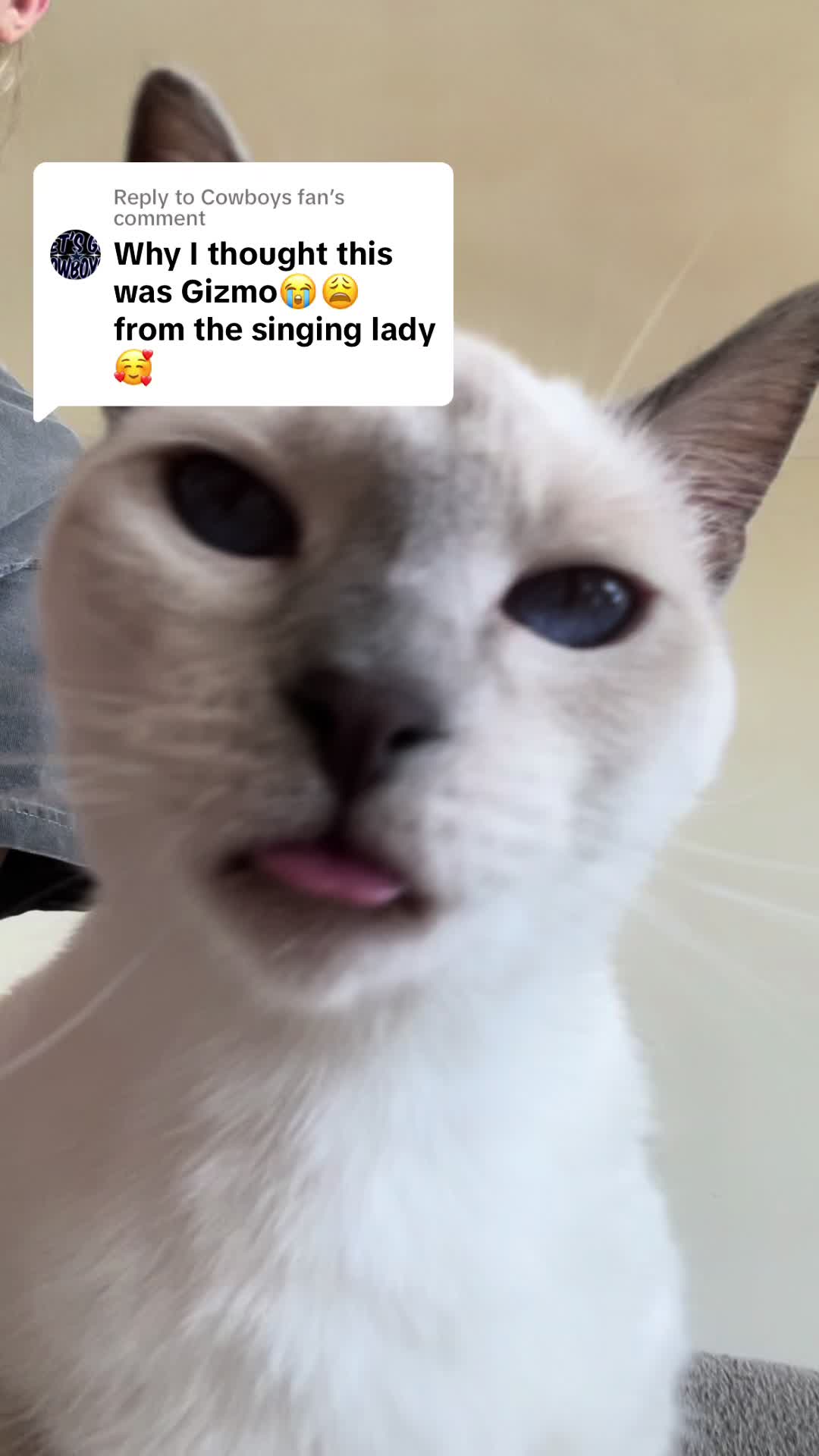 @frances
