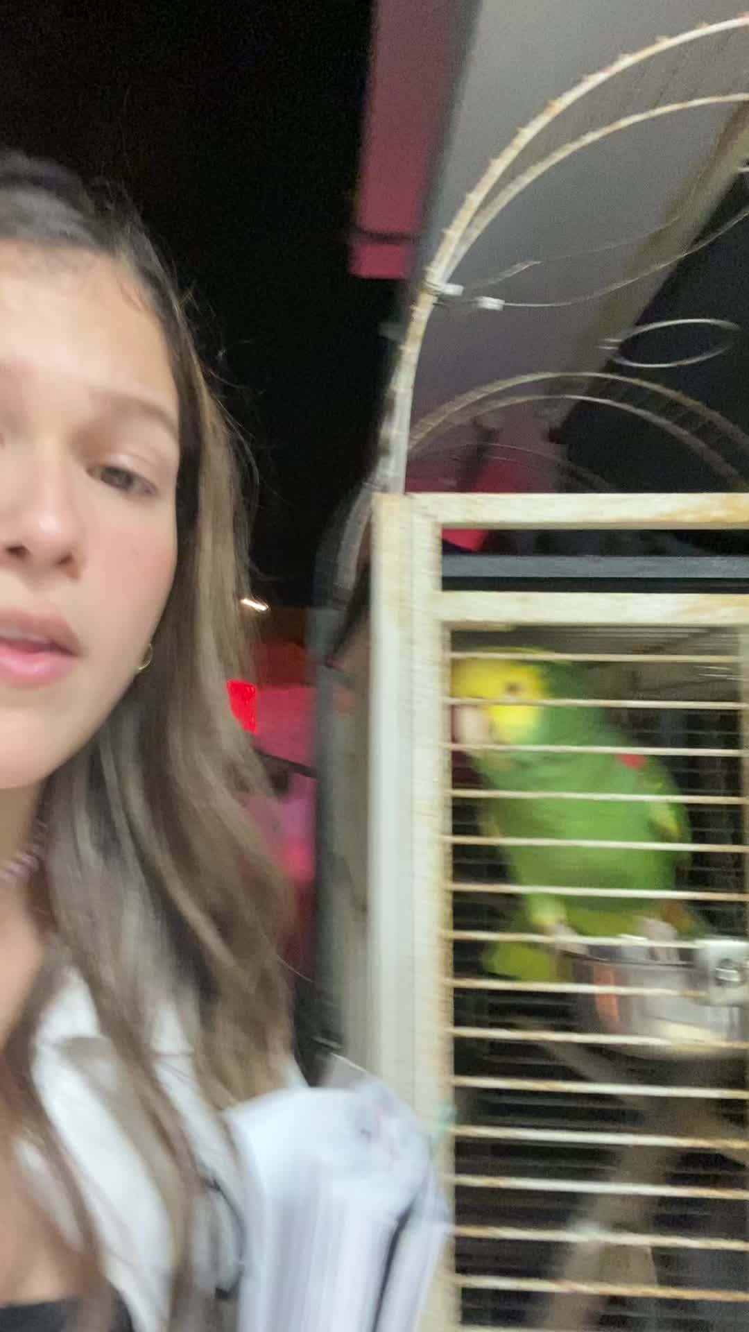 @Juliana Rivera