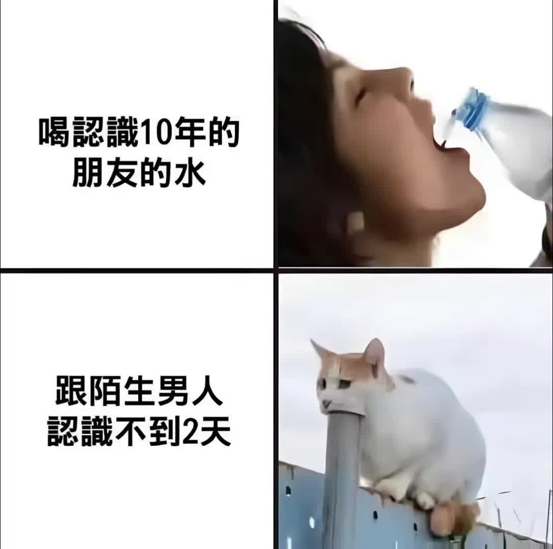 @追梦熊猫人