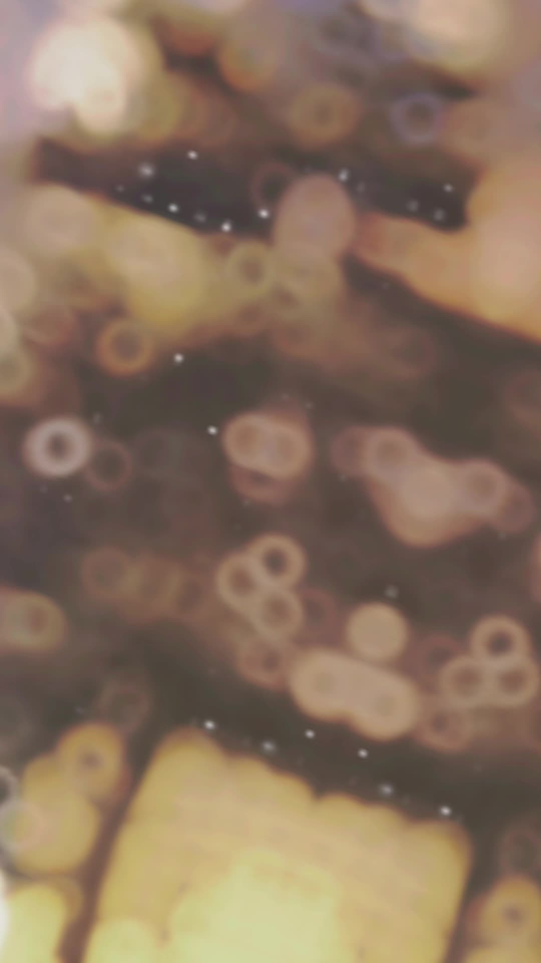 @Kanae/eri/l: moon cats stars/