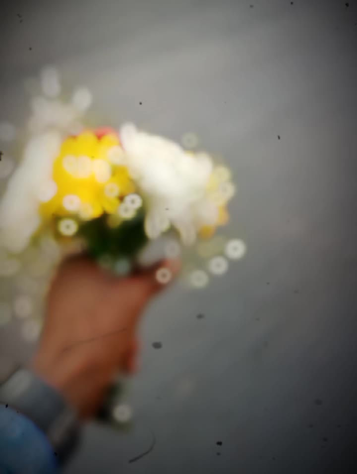 @🍁_অশ্লীল কবি_🍁