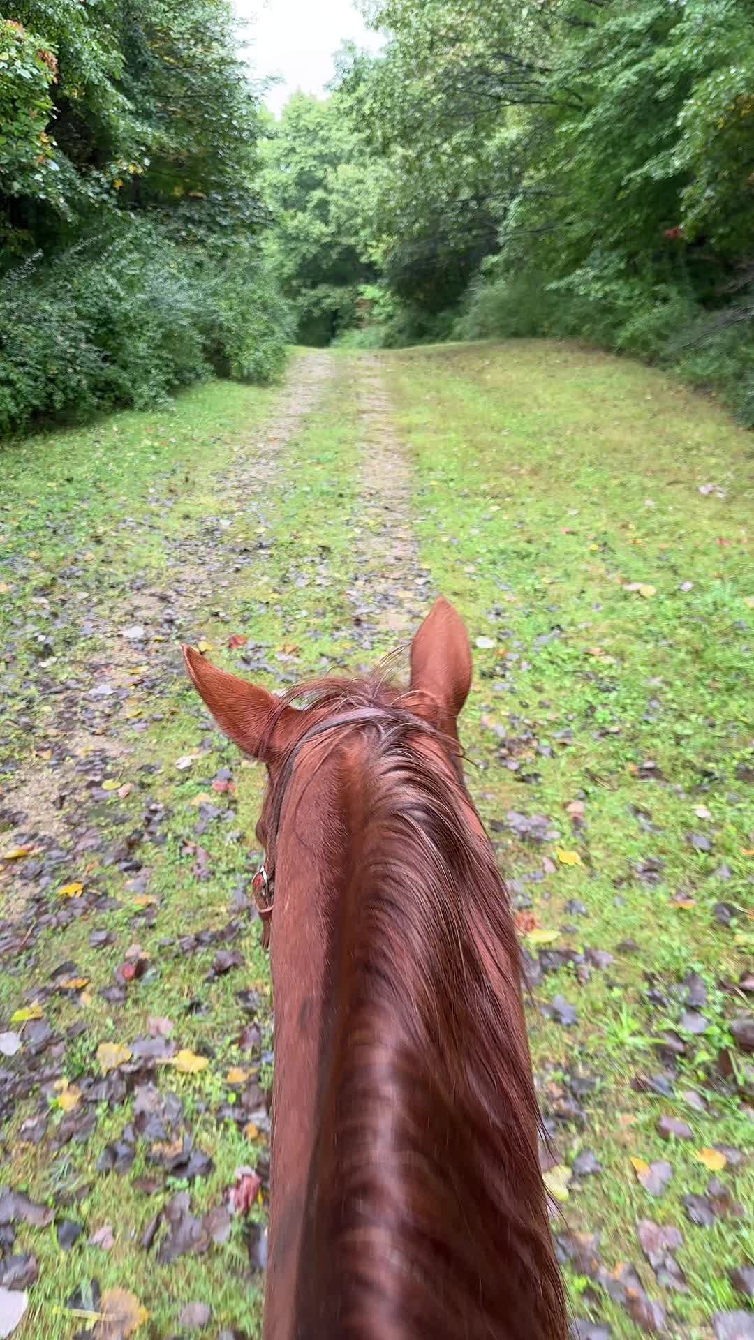 @Sky High Horsemanship LLC