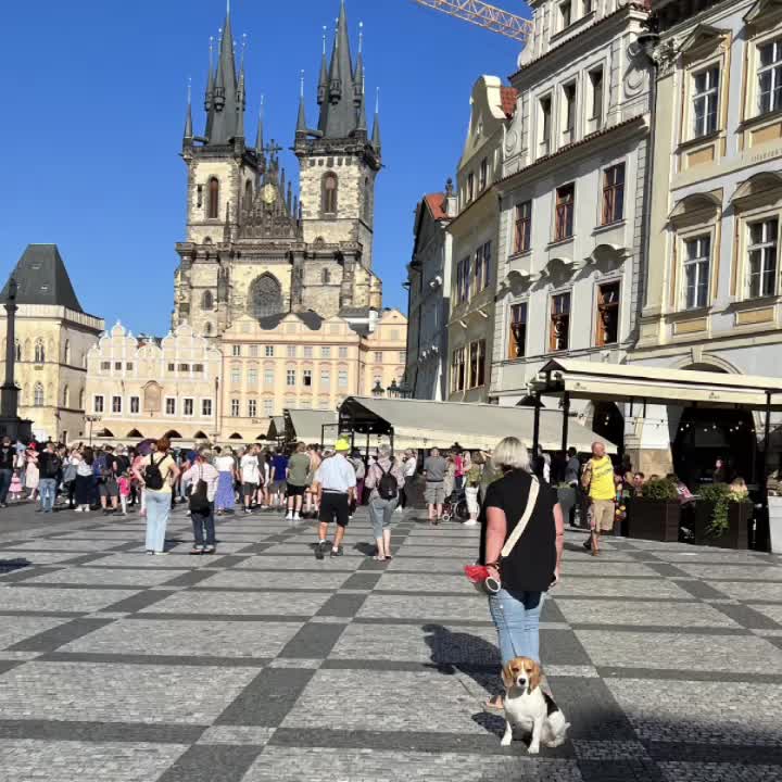 @Pet_Friendly_Planning