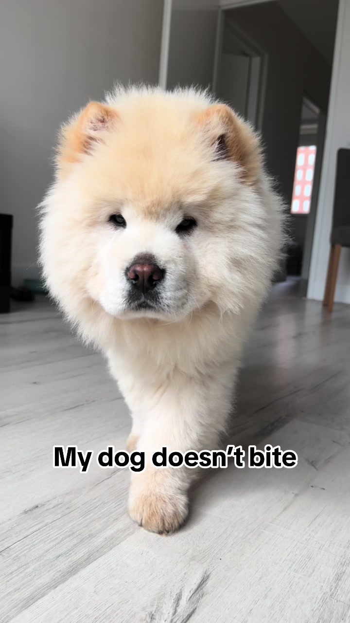 @Mochi