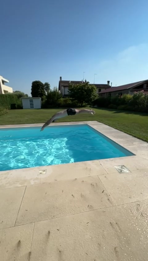@Mauro_chinellato