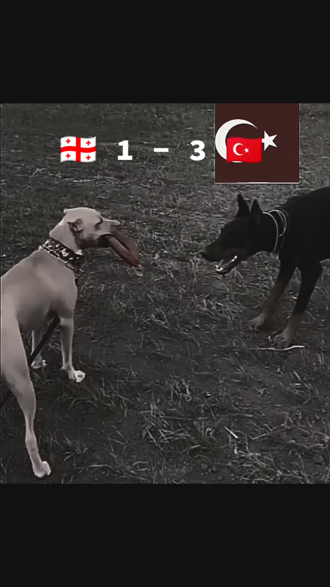 @მახარაშვილი 🍏