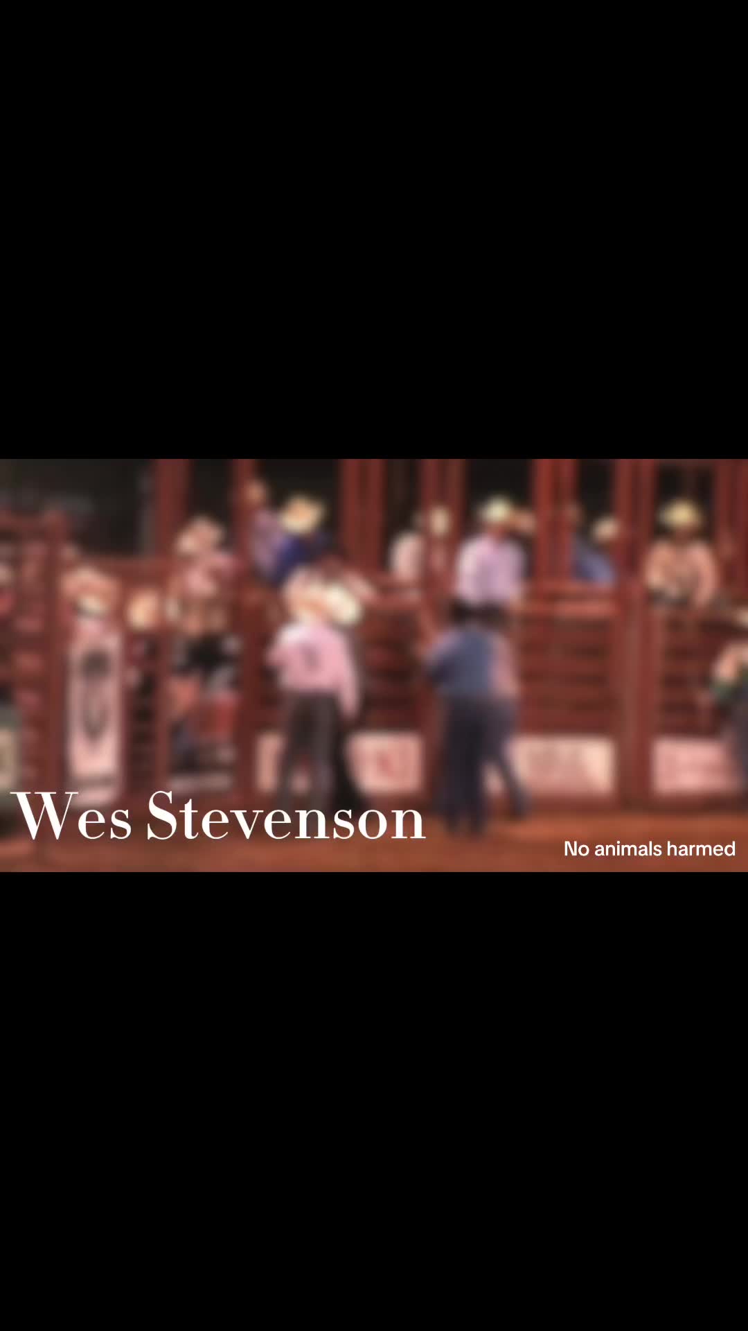 @Thanksgiving Rodeo School
