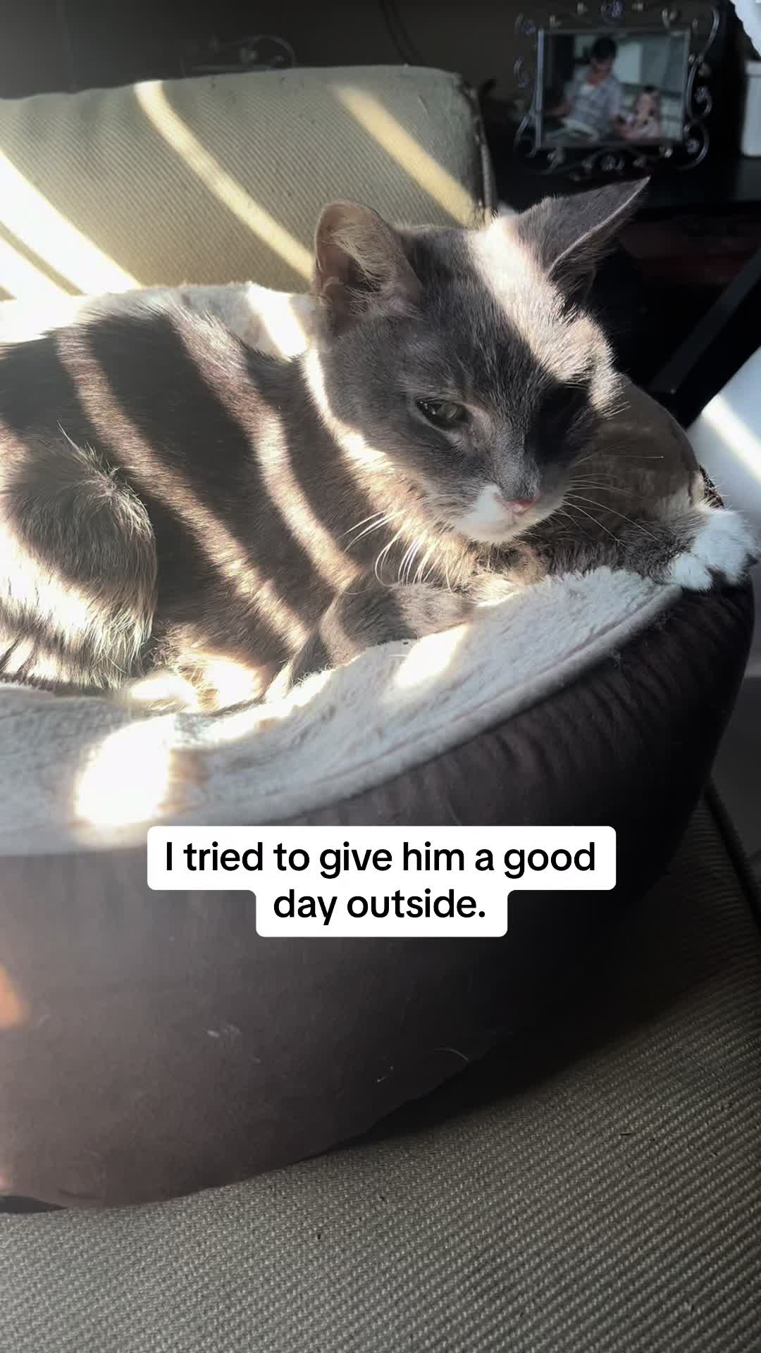 @roxyredcat