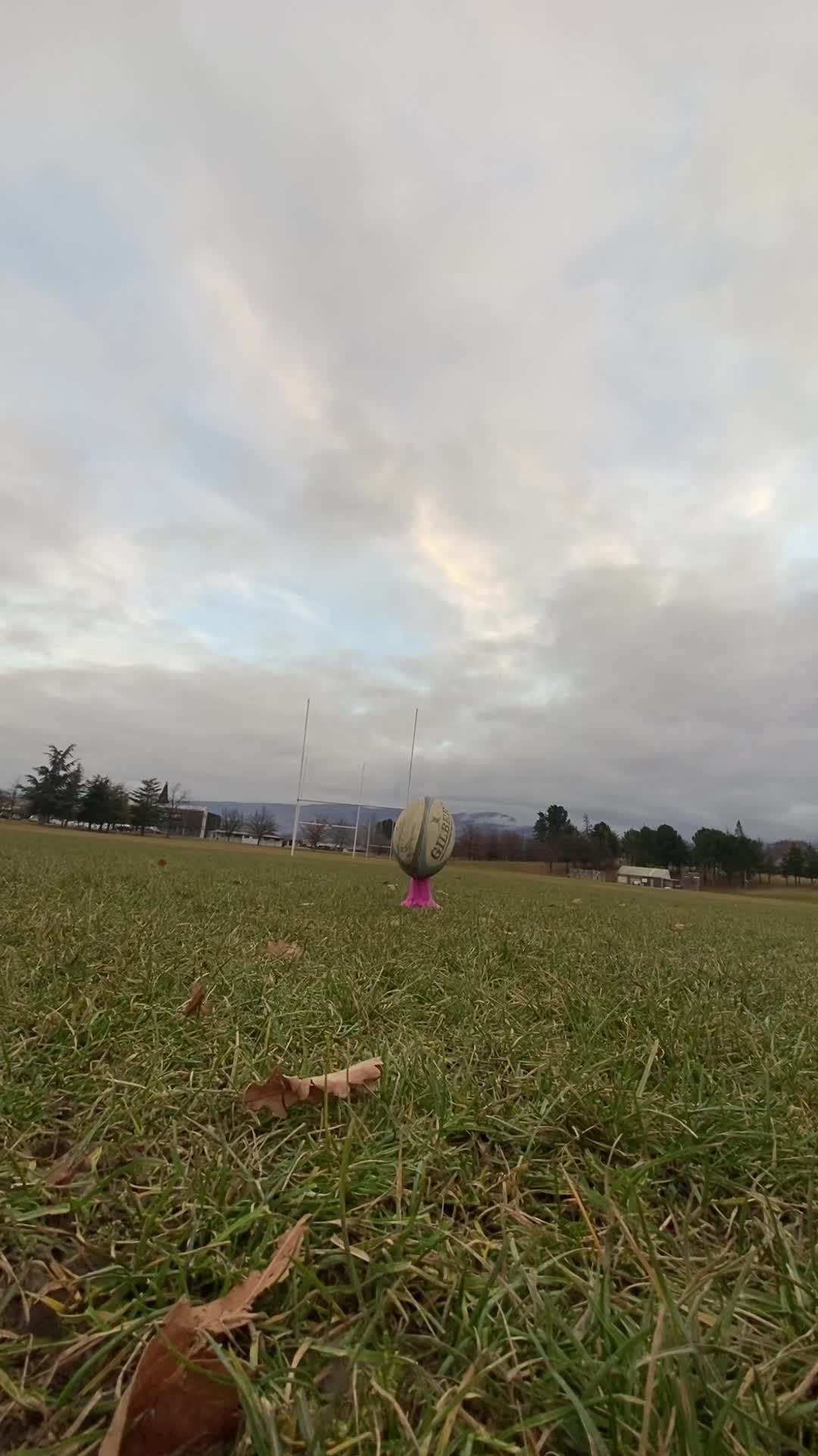 @rugbykicks