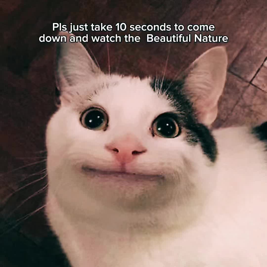 @๐๐๐๐