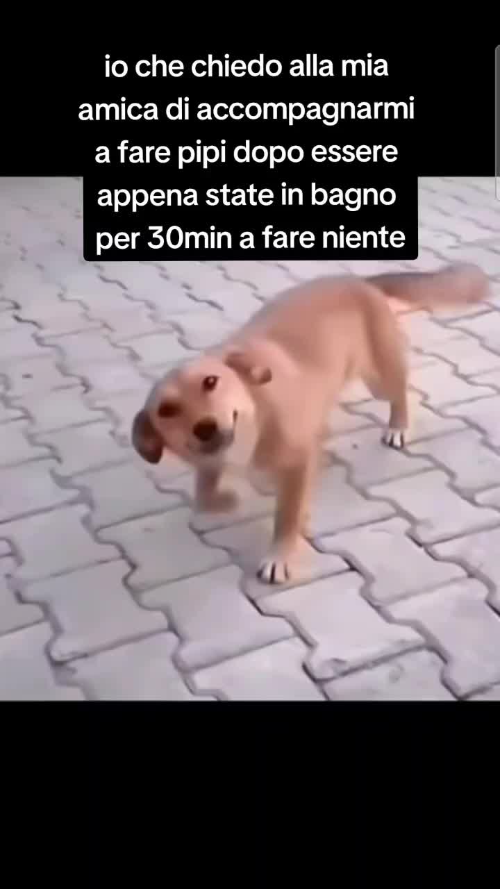 @💤