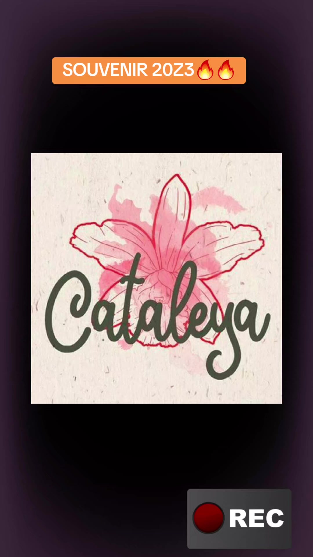 @🌸CATALEYA🌸