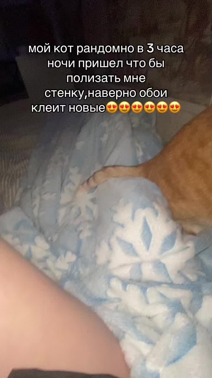 @varv
