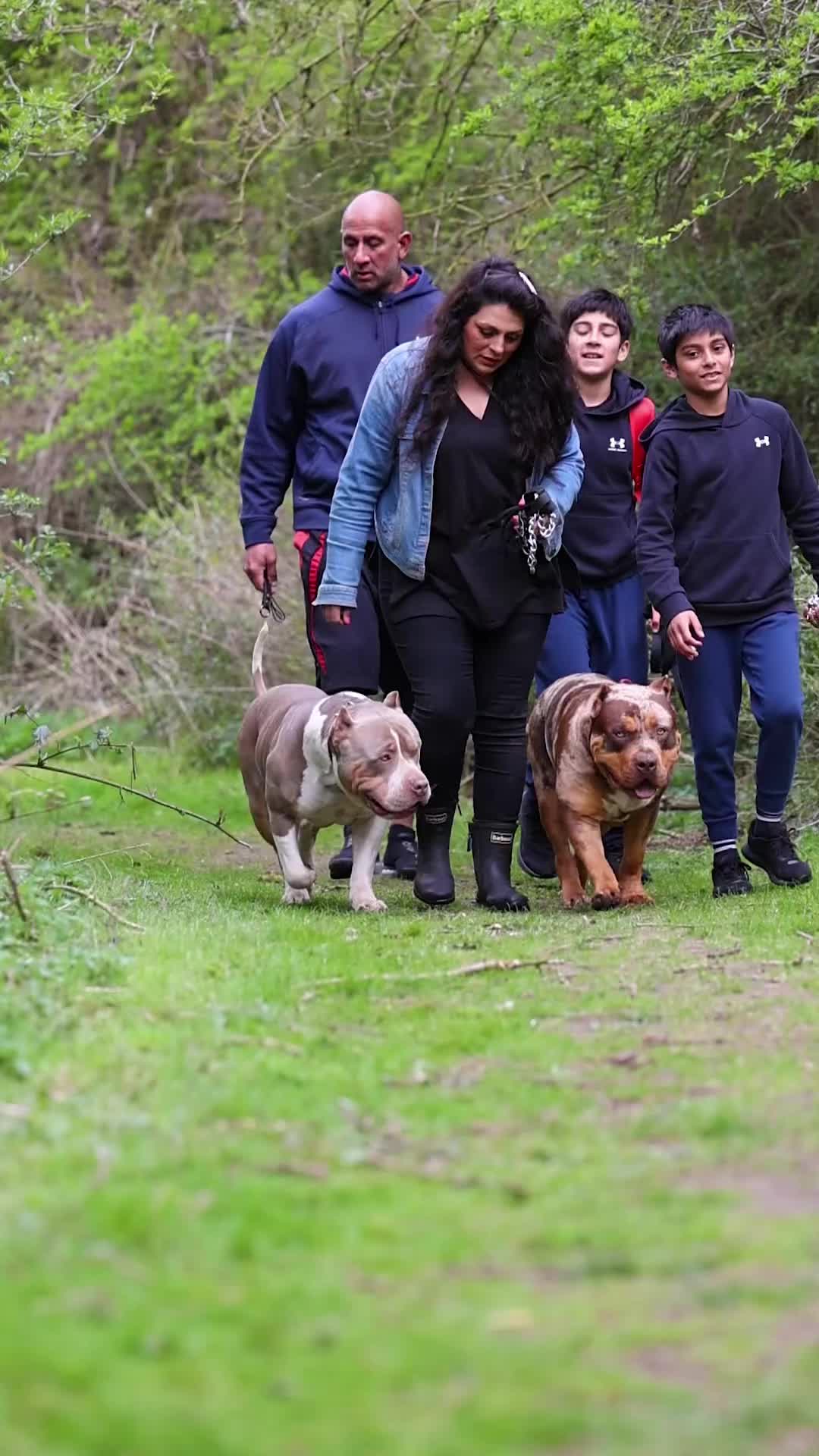 @Tribe Bully Kennels