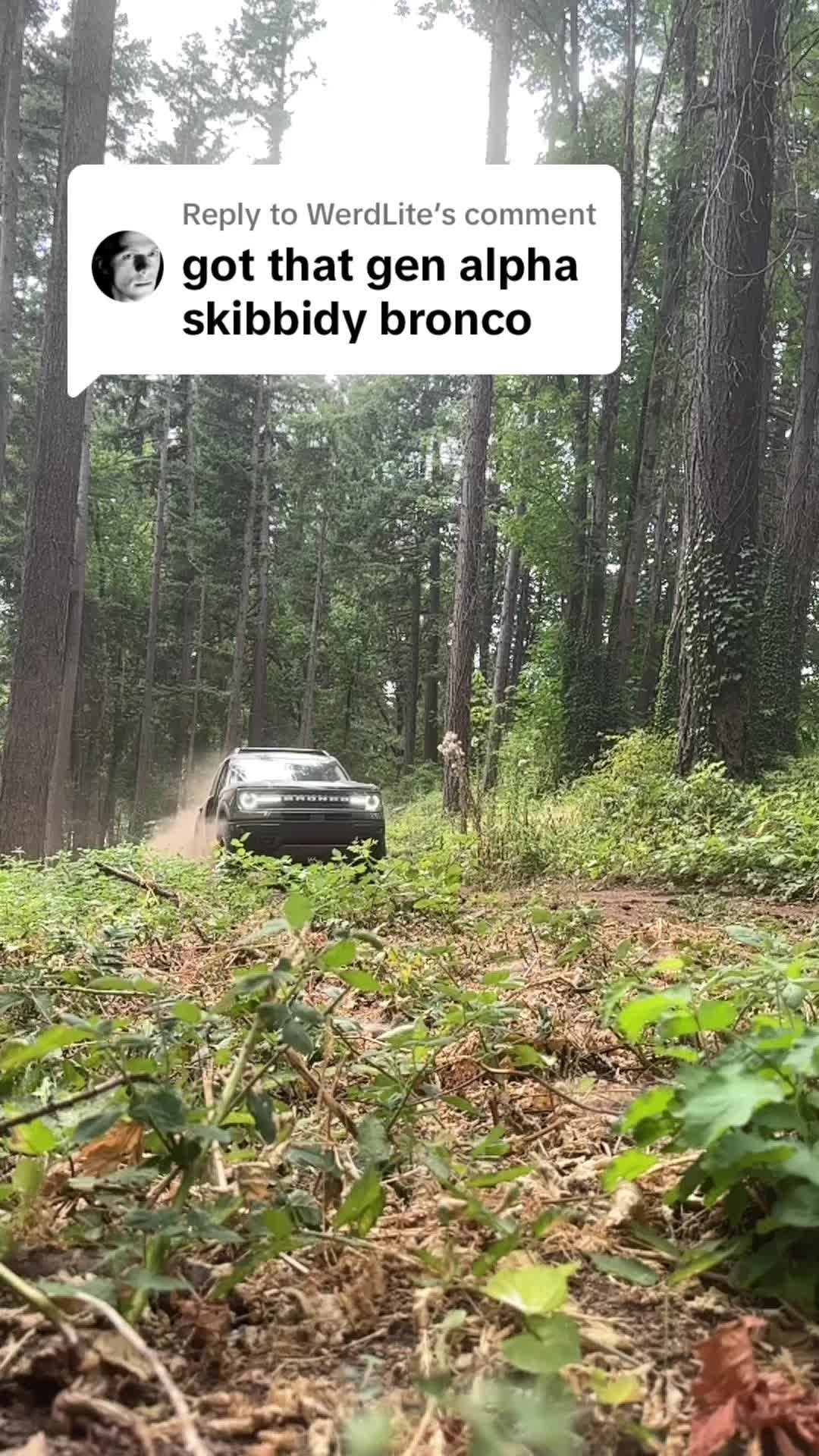 @Gambler 500