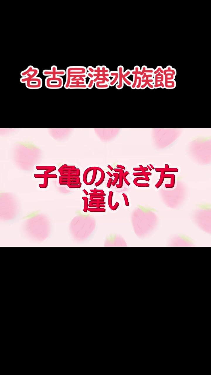 @りなまる❣️