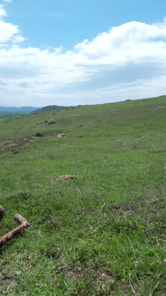 @yakup gökmen