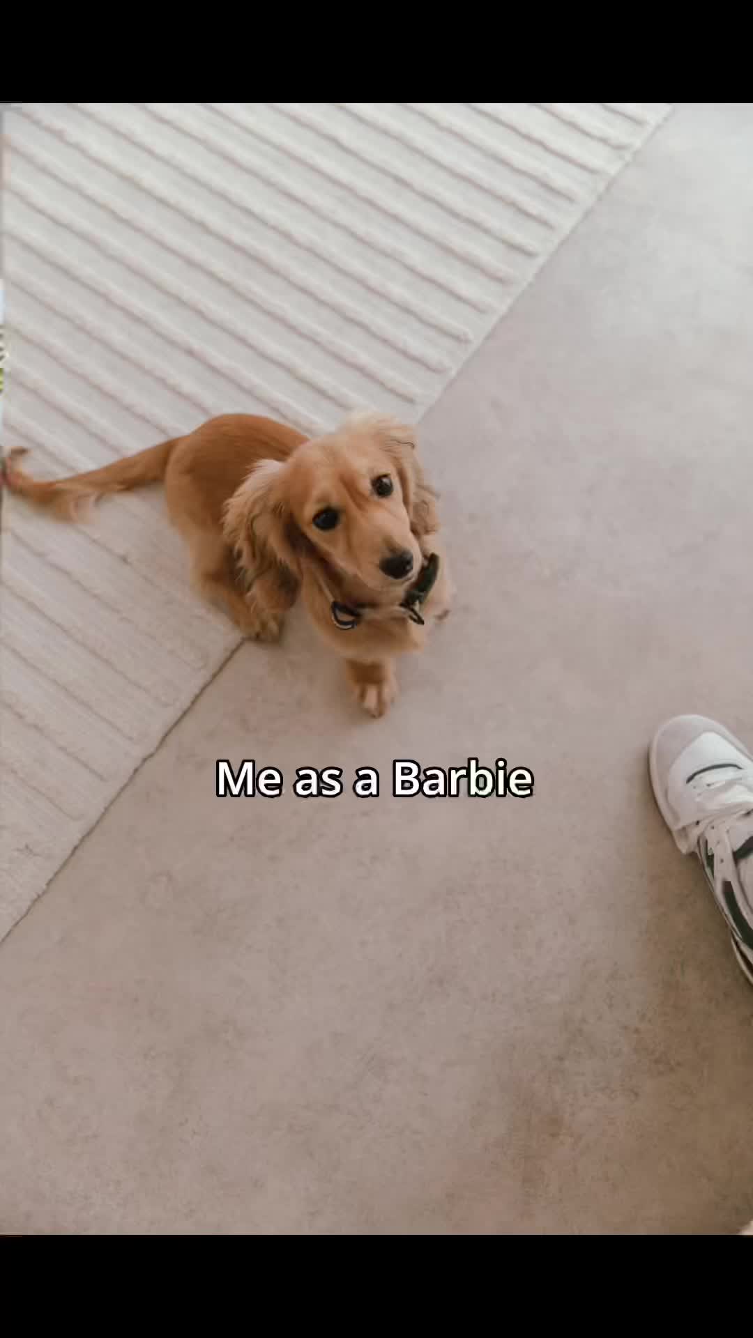 @WOLFIE