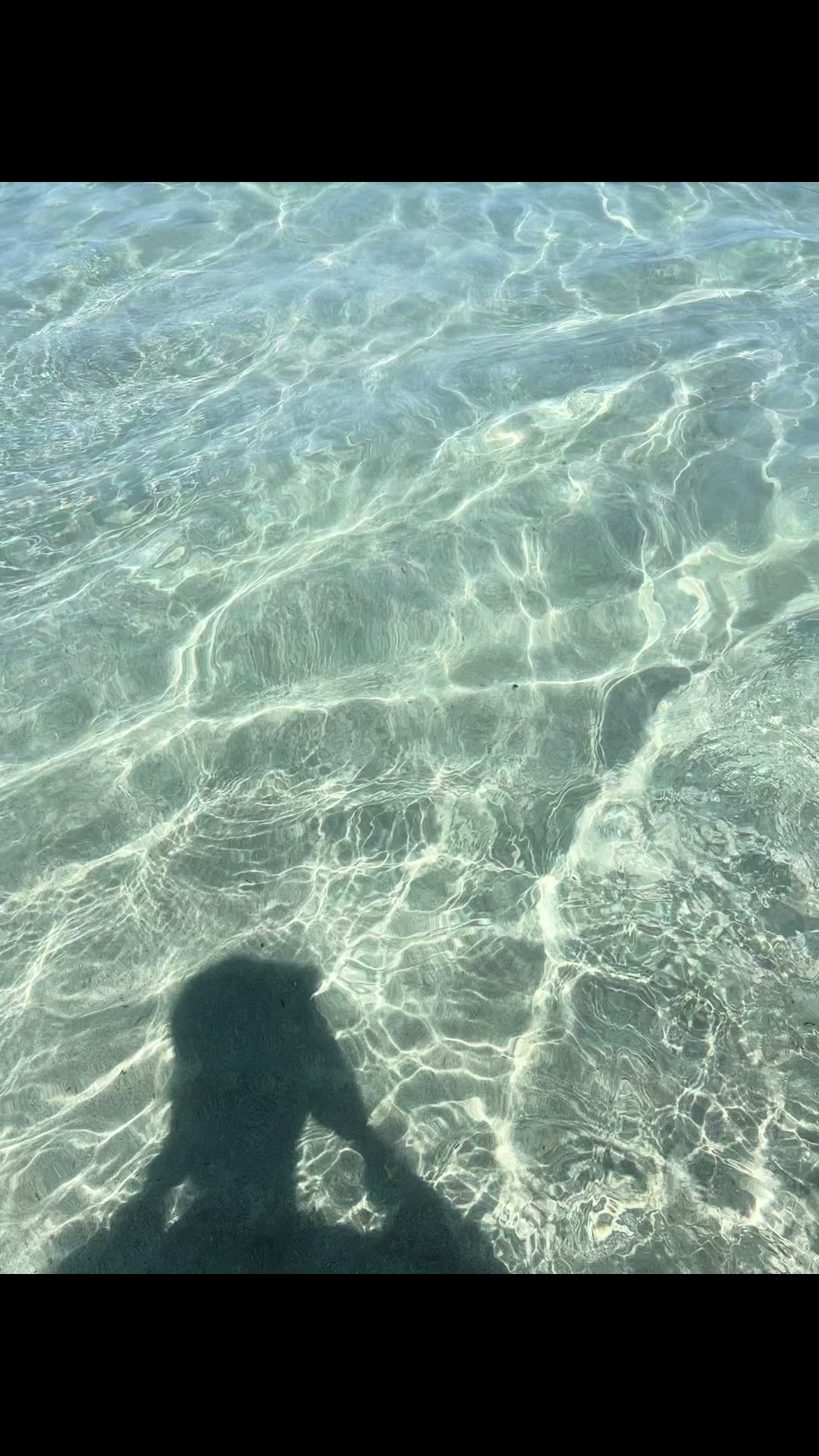 @LudovicaChiariello