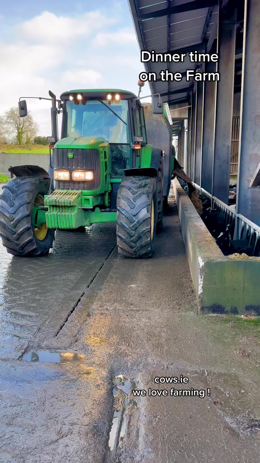 @cows.ie