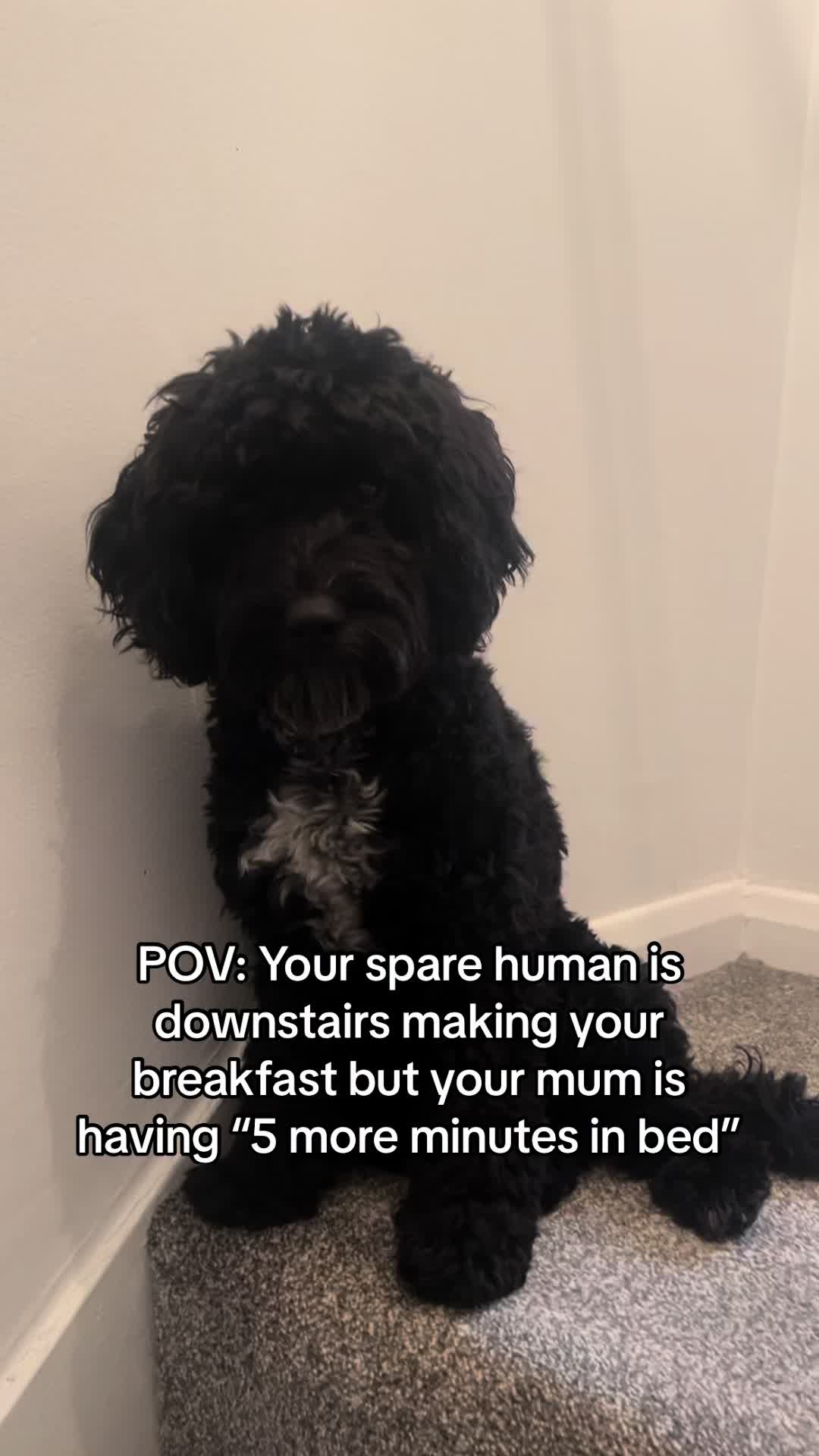 @TobyTykeTok