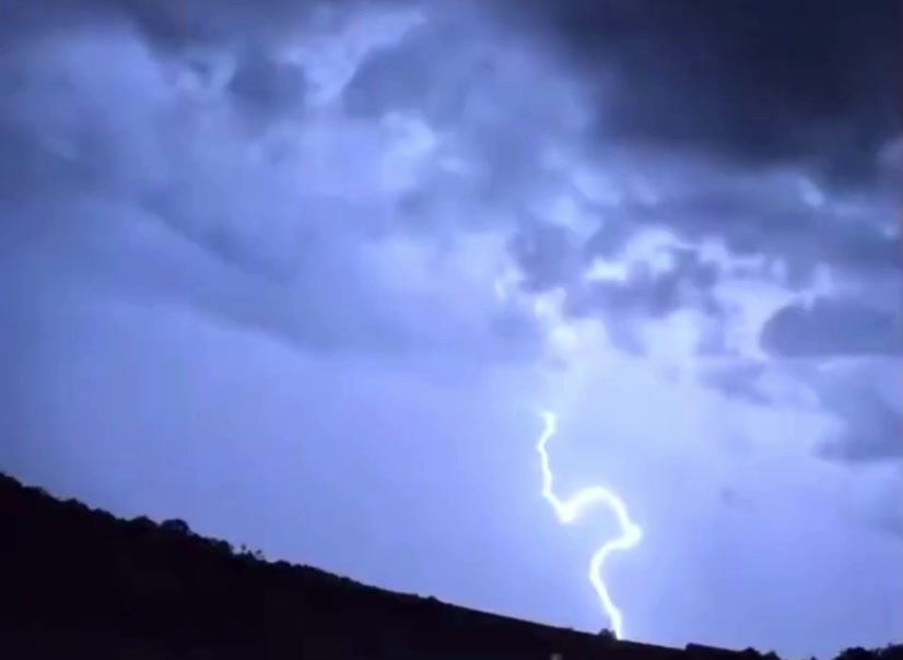 @🌪️Plum Wild Weather ⛈️