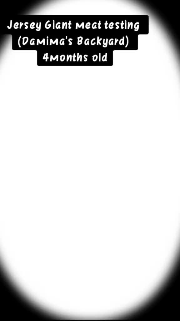 @@elphazong.official