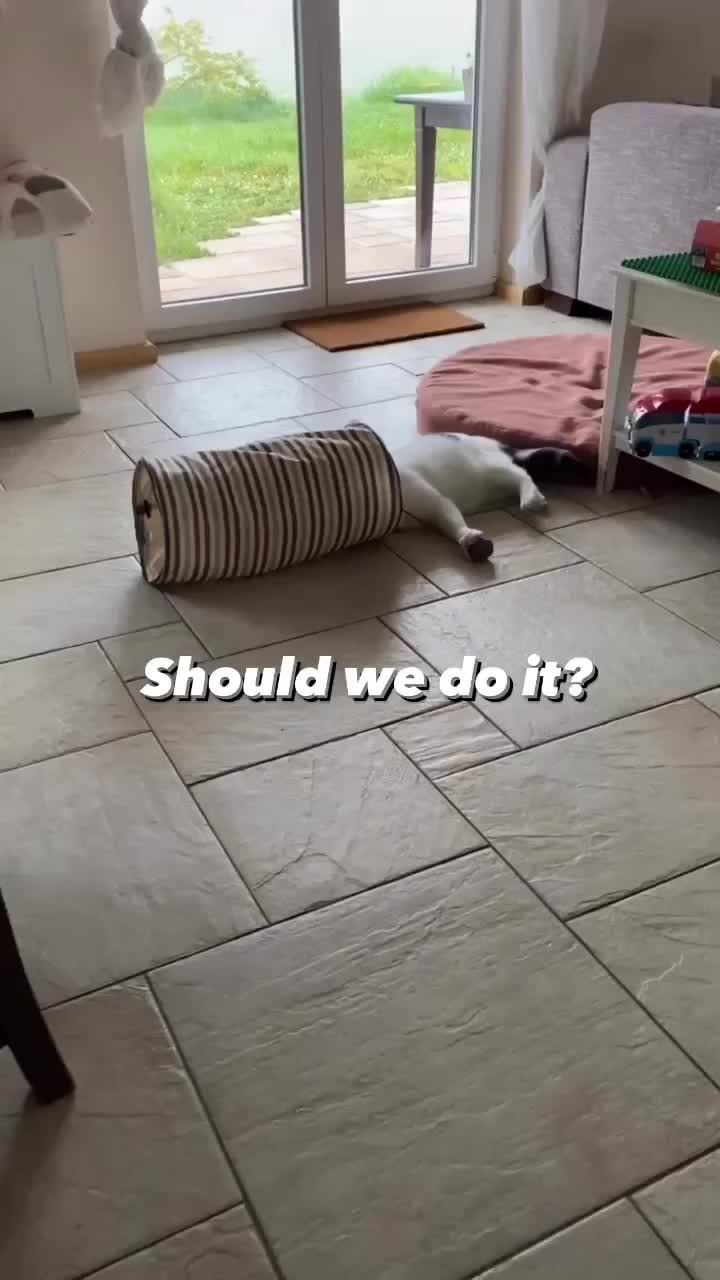 @Marielethecat