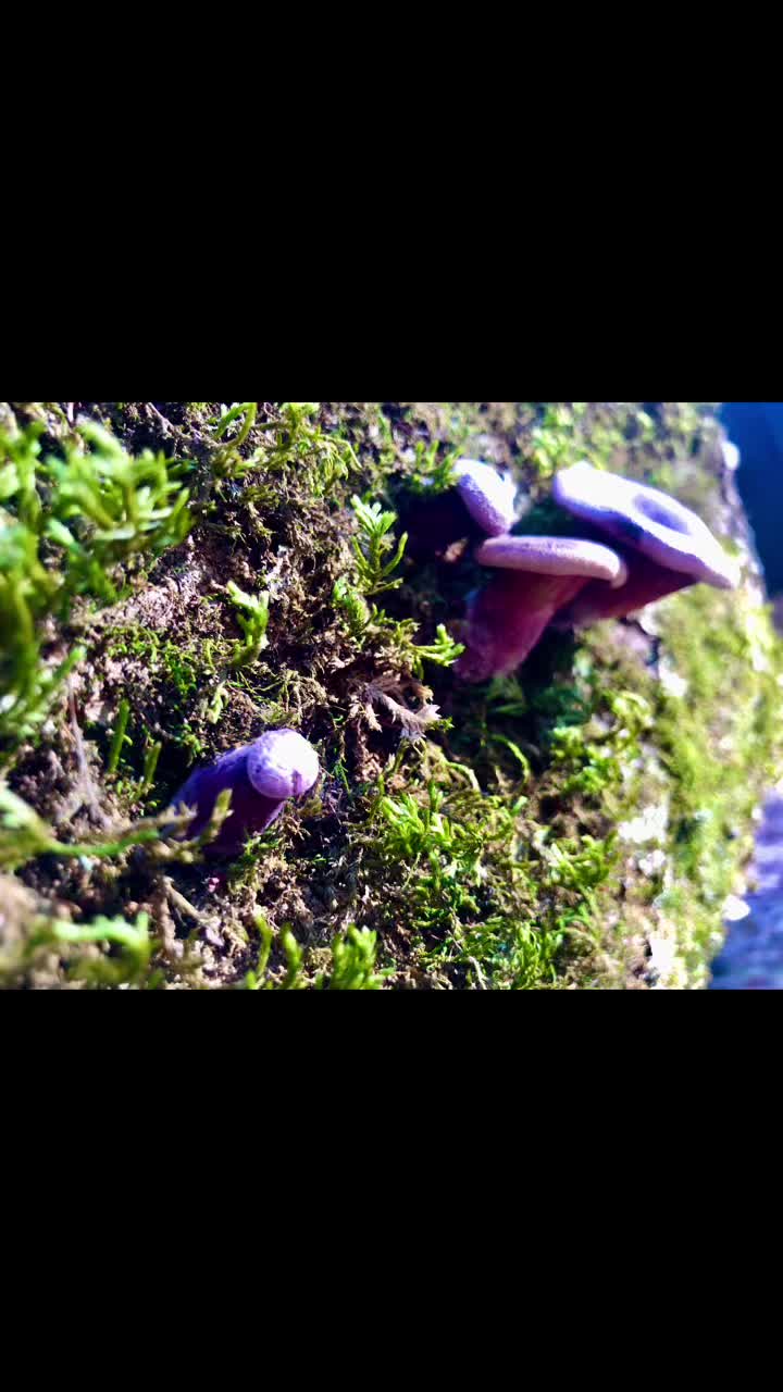 @Cindy loves nature