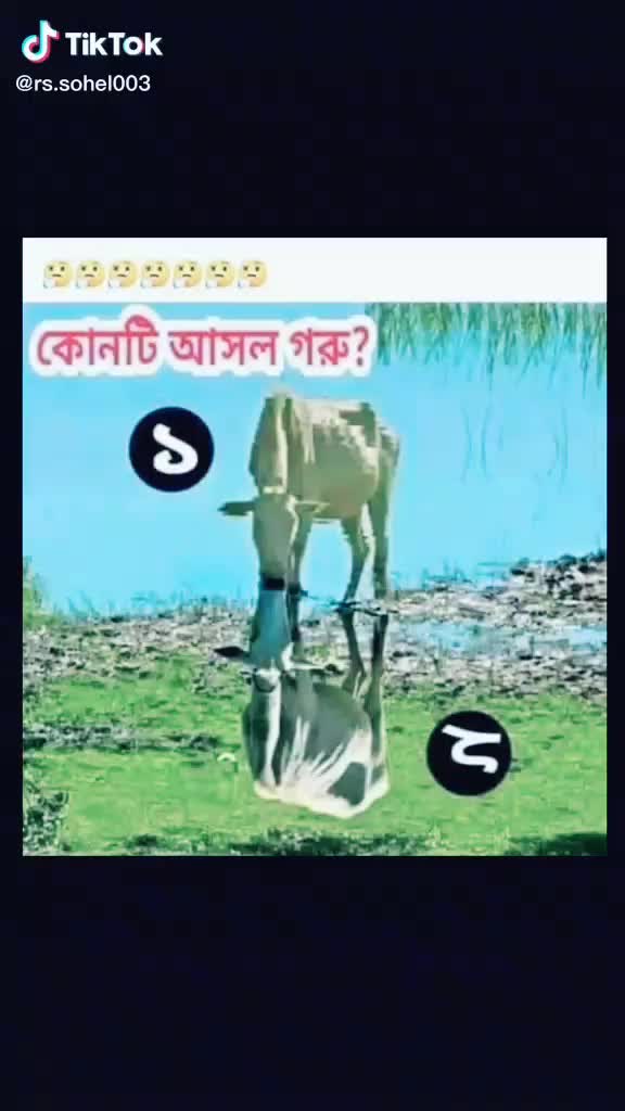 @md Sofik1234