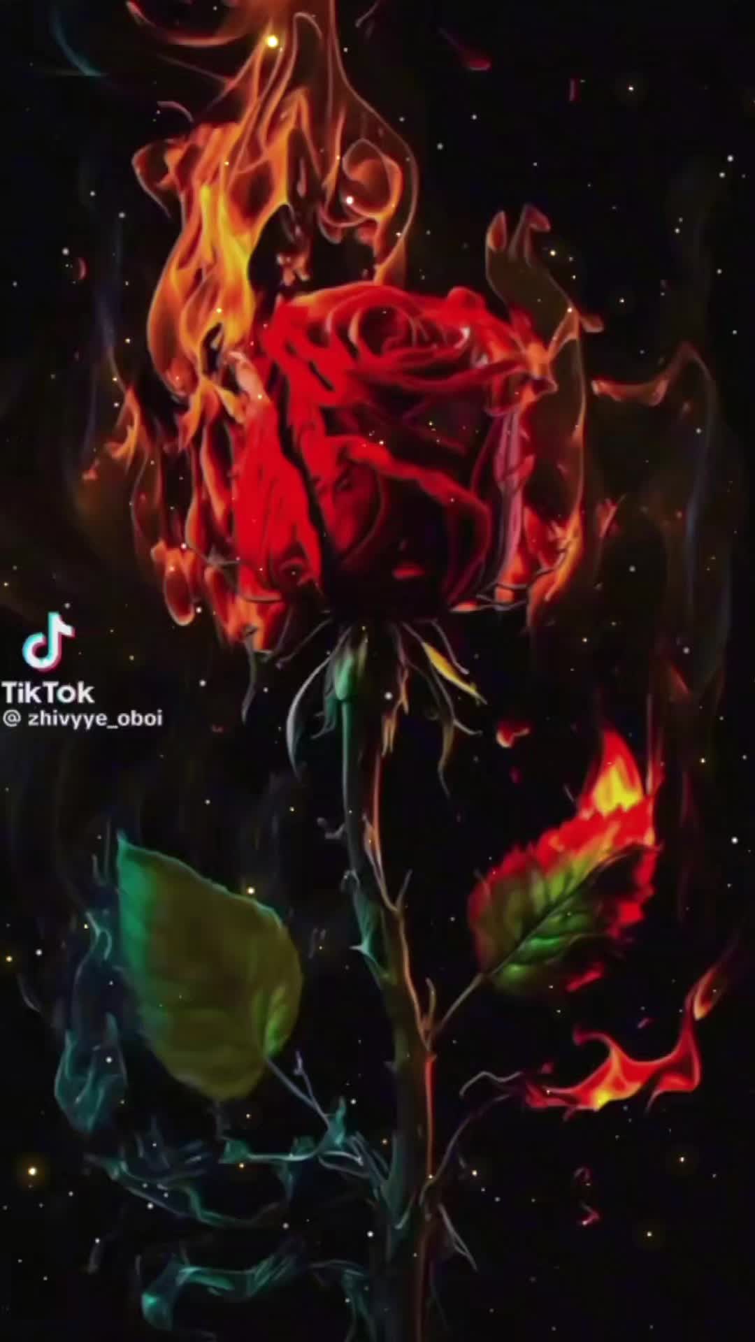 @Damiangrosser2709