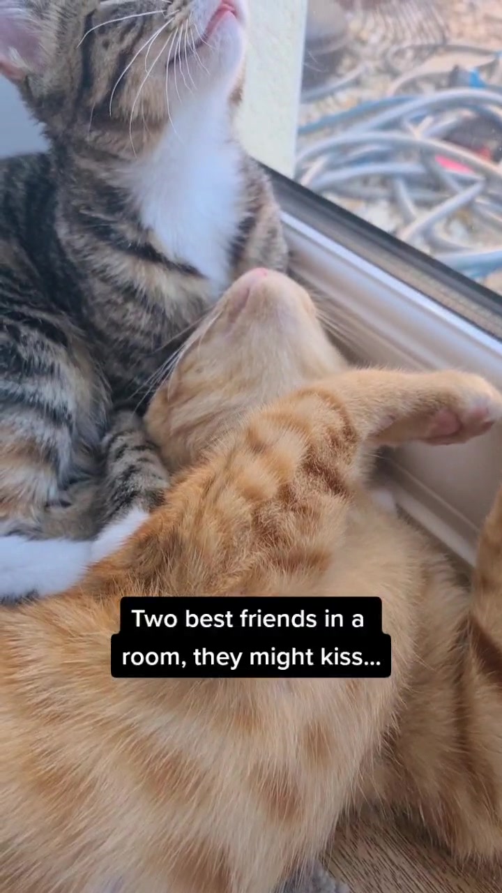 @Kiwi and Mango 🥝🥭
