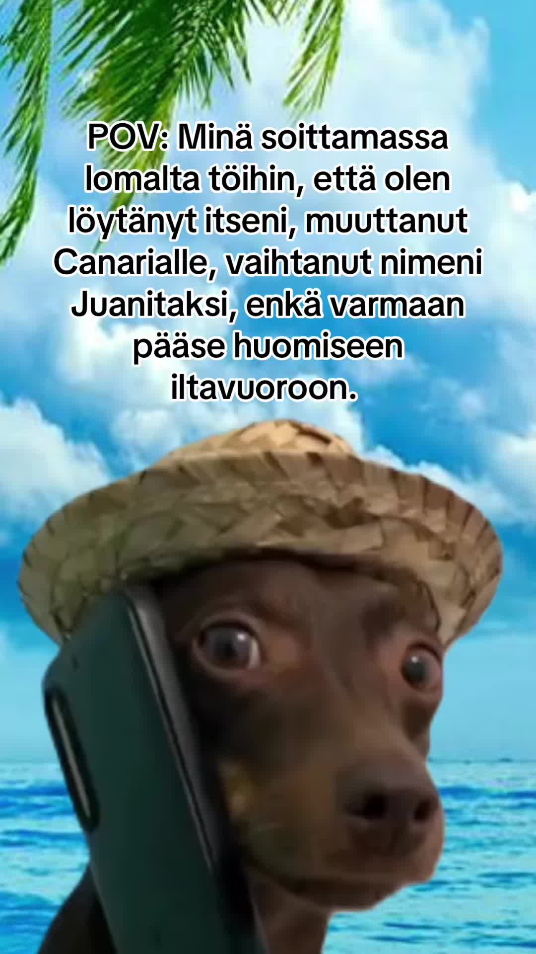 @Carol 👩🏻&zwj;⚕️🌻🇵🇭🇫🇮